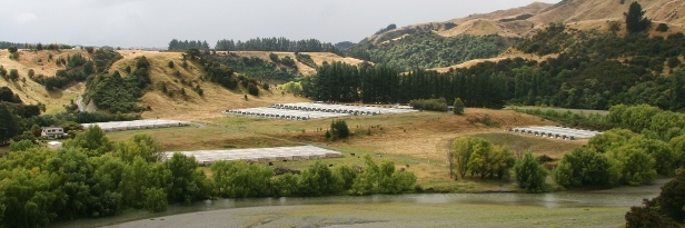 lower_flag_range_lge