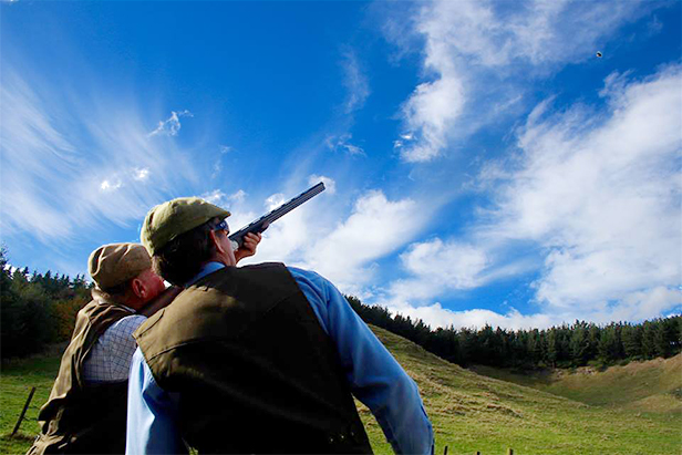 Pheasant Shooting at Tuna Nui, Hawkes Bay