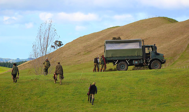 Pheasant Shooting at Tuna Nui, Hawkes Bay