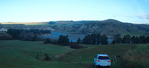 Pheasant Shooting at Whanawhana, NZ Pheasant Shooting at Whanawhana, NZ